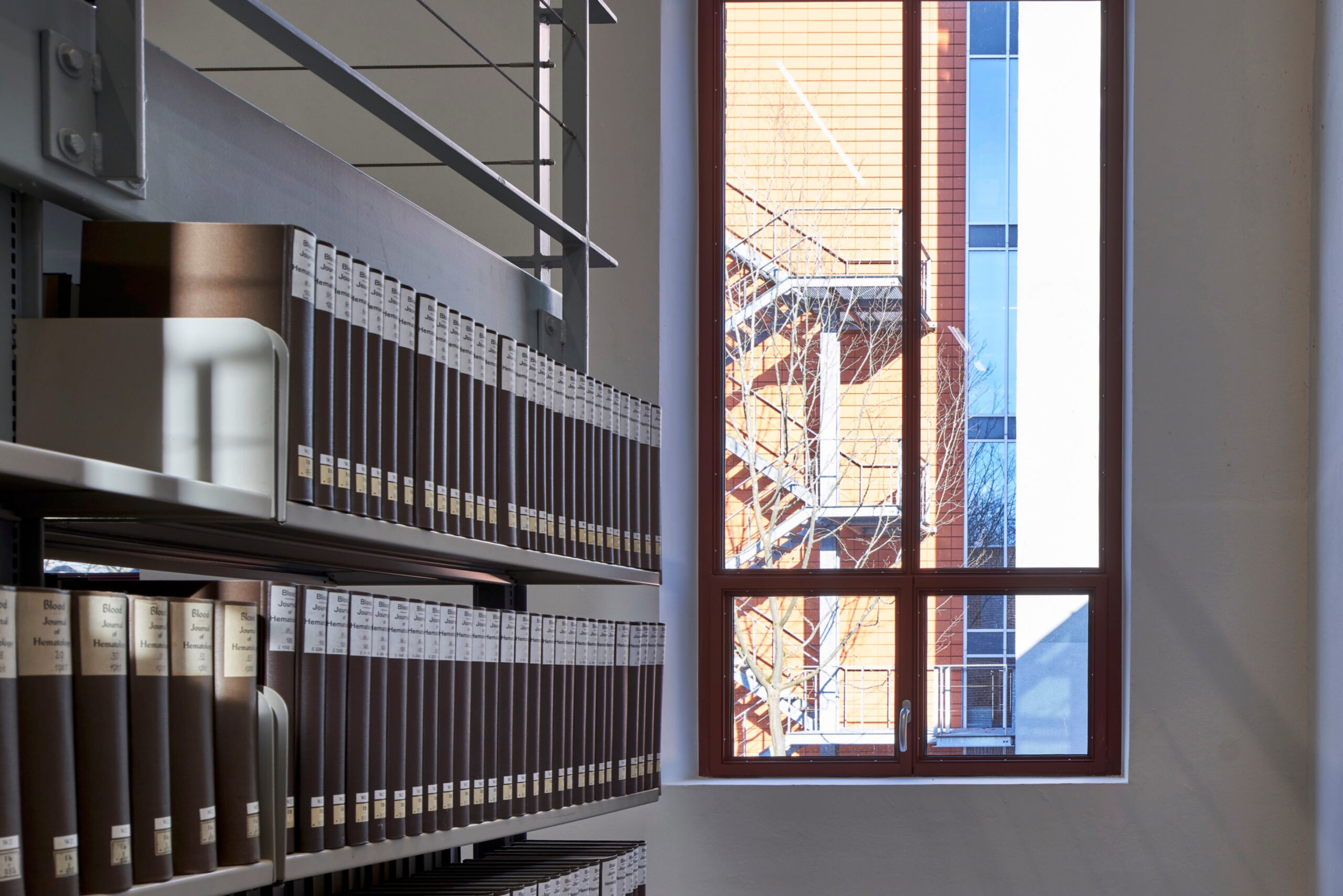 38520e59b5d083acb6a1fbcfb2b804311b53411c