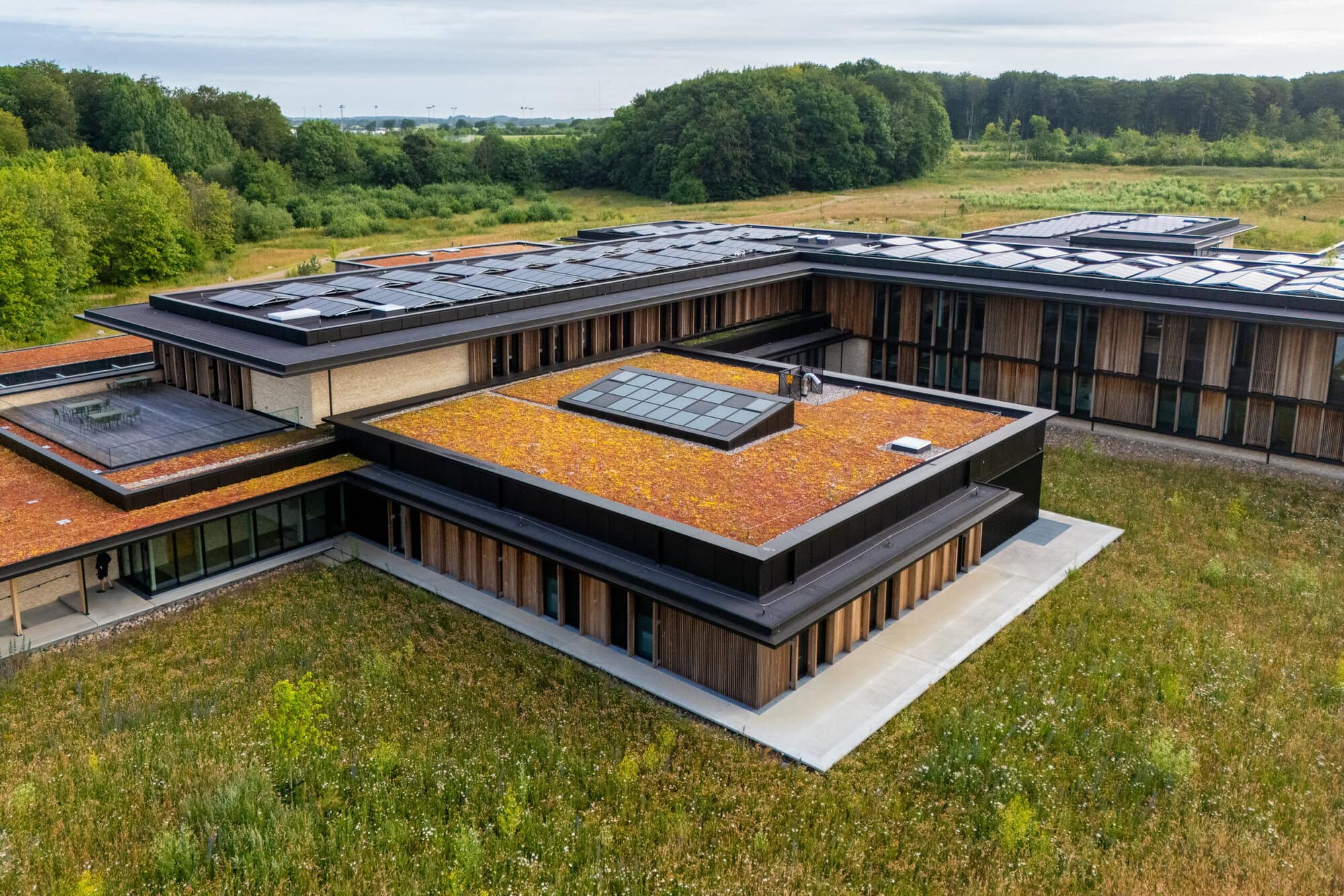Mølholm 2